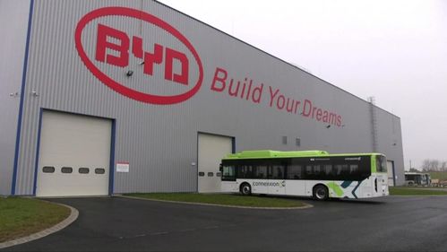 中國車出海 去歐美日還是亞非拉